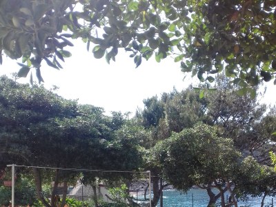 Apartment Studio flat with terrace and sea view Mali Lošinj, Lošinj AS-12591-a - Outdoor photo 11