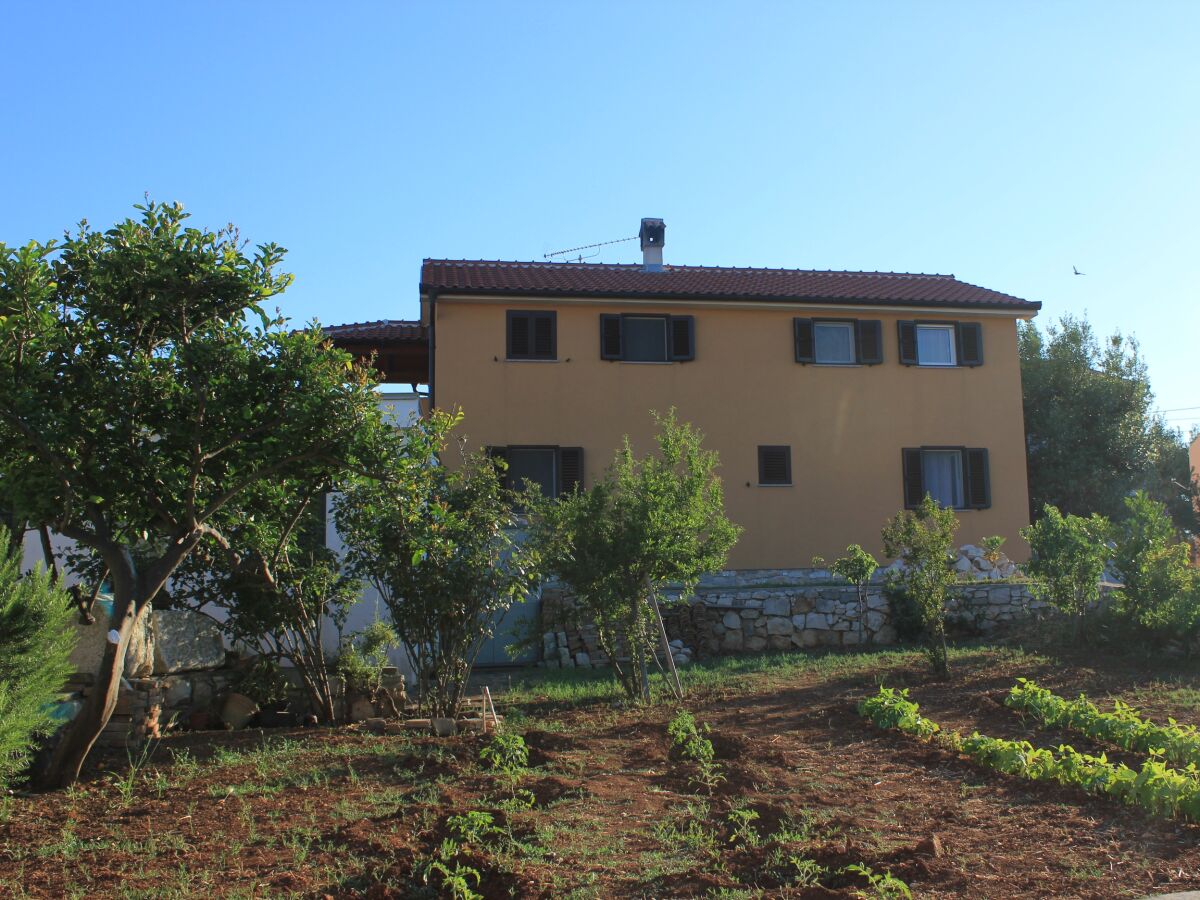 Apartment Two bedroom apartment with terrace Ilovik, Lošinj A-8078-a - Outdoor photo 4