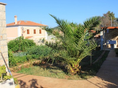 Apartment Two bedroom apartment with terrace Ilovik, Lošinj A-8078-a - Outdoor photo 7