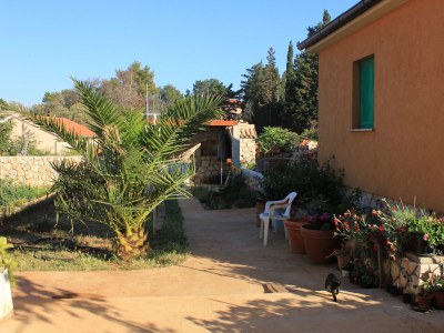 Apartment Two bedroom apartment with terrace Ilovik, Lošinj A-8078-a - Outdoor photo 9