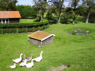 Holiday apartment "The Melkhuisje" on the Sparrentak farm - Outdoor photo 3