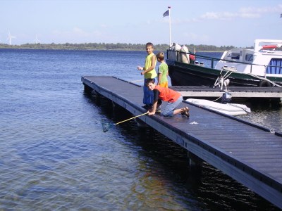 Holiday apartment "The Melkhuisje" on the Sparrentak farm - Environment photo 12