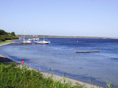 Holiday apartment "The Melkhuisje" on the Sparrentak farm - Environment photo 13