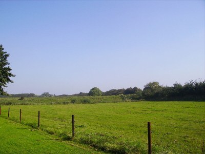 Holiday apartment "The Melkhuisje" on the Sparrentak farm - Environment photo 14
