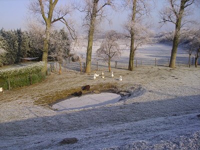 Holiday apartment "The Melkhuisje" on the Sparrentak farm - Environment photo 16
