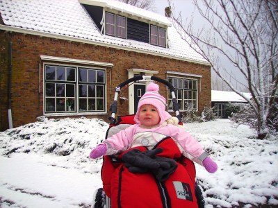 Holiday apartment "The Melkhuisje" on the Sparrentak farm - Environment photo 17