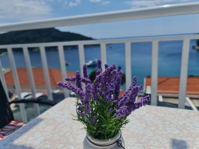 Apartment Apartments by the sea Cove Saplunara, Mljet - 12849 - Apartments by the sea Cove Saplunara, Mljet - 12849 - Outdoor photo 10