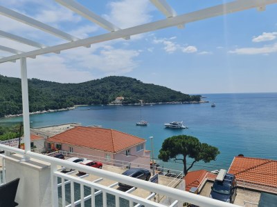 Apartment Apartments by the sea Cove Saplunara, Mljet - 12849 - Apartments by the sea Cove Saplunara, Mljet - 12849 - Outdoor photo 11