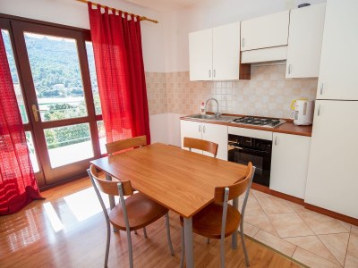 Apartment Studio flat with balcony and sea view Grebaštica, Šibenik AS-14317-a - Outdoor photo 14