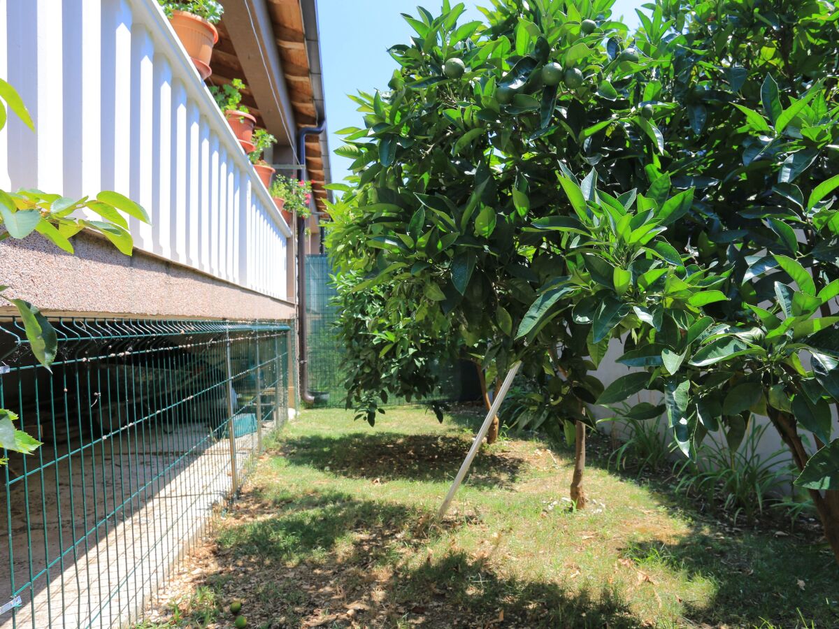 Holiday house Three bedroom house with terrace and sea view Kaštel Štafilić, Kaštela K-21506 - Outdoor photo 4