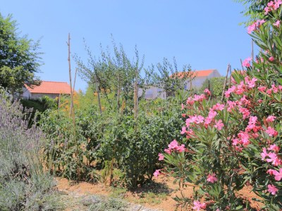 Holiday house Three bedroom house with terrace and sea view Kaštel Štafilić, Kaštela K-21506 - Outdoor photo 6