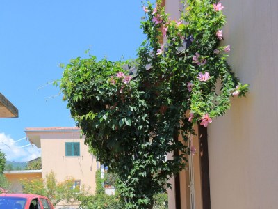 Holiday house Three bedroom house with terrace and sea view Kaštel Štafilić, Kaštela K-21506 - Outdoor photo 8