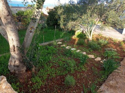 Apartment Apartments by the sea Nečujam, Šolta - 21776 - Apartments by the sea Nečujam, Šolta - 21776 - Outdoor photo 5