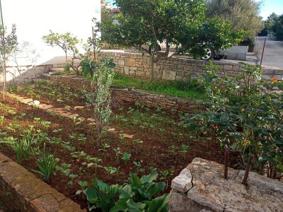 Apartment Apartments by the sea Nečujam, Šolta - 21776 - Apartments by the sea Nečujam, Šolta - 21776 - Outdoor photo 6