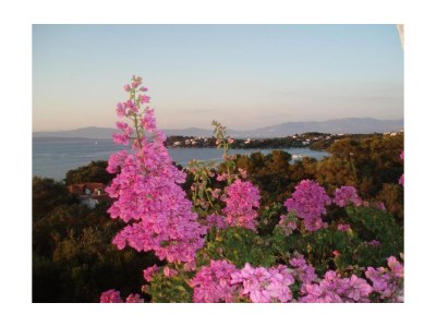 Apartment Apartments by the sea Nečujam, Šolta - 21776 - Apartments by the sea Nečujam, Šolta - 21776 - Outdoor photo 23