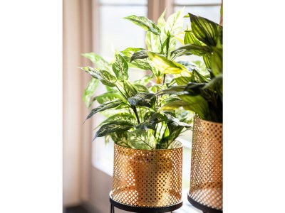 Villa De Mooie - Features photo 11