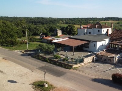 Apartment Two bedroom apartment with terrace Grupija, Umag A-23568-a - Outdoor photo 2