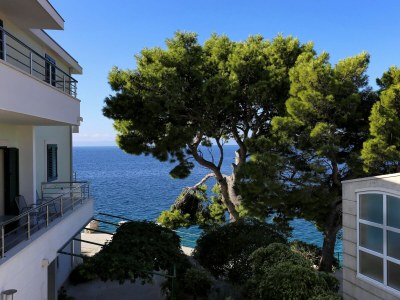 Apartment One bedroom apartment near beach Promajna, Makarska A-2605-b - Outdoor photo 16