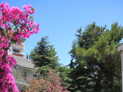 Apartment Studio flat near beach Promajna, Makarska AS-2605-a - Outdoor photo 6