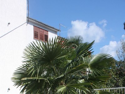 Apartment Studio flat with terrace Vodice AS-2995-d - Outdoor photo 6