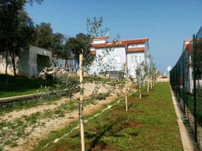 Holiday room with air-conditioning Vrsar, Poreč S-3007-a - Outdoor photo 3