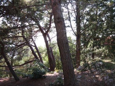 Apartment Studio flat with balcony and sea view Drašnice, Makarska AS-3330-h - Outdoor photo 23