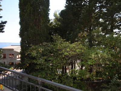 Apartment Studio flat with balcony and sea view Drašnice, Makarska AS-3330-i - Outdoor photo 26