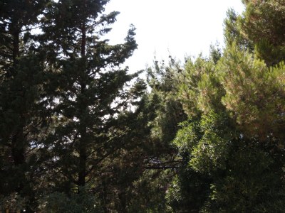 Apartment Studio flat with balcony Drašnice, Makarska AS-3330-j - Outdoor photo 23