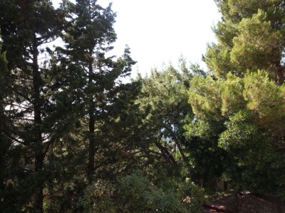 Apartment Studio flat with balcony and sea view Drašnice, Makarska AS-3330-k - Outdoor photo 22