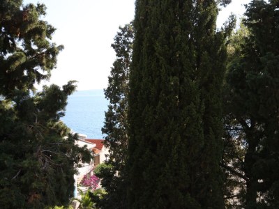 Apartment Studio flat with balcony and sea view Drašnice, Makarska AS-3330-k - Outdoor photo 23