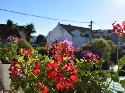 Apartment Three bedroom apartment with balcony and sea view Sveti Filip i Jakov, Biograd A-4299-a - Outdoor photo 8
