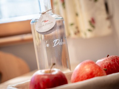 Apartment "Anna" at Villa Mastlé - Features photo 18