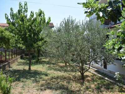 Apartment Studio flat with balcony Sveti Filip i Jakov, Biograd AS-4299-e - Outdoor photo 9