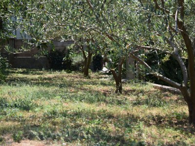 Apartment Studio flat with air-conditioning Sveti Filip i Jakov, Biograd AS-4299-f - Outdoor photo 10