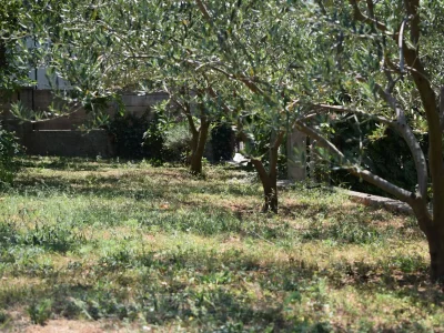 Apartment Studio flat with balcony and sea view Sveti Filip i Jakov, Biograd AS-4299-g - Outdoor photo 9