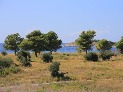 Apartment One bedroom apartment with balcony and sea view Rogoznica A-4162-d - Outdoor photo 30
