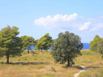 Apartment One bedroom apartment with balcony and sea view Rogoznica A-4162-d - Outdoor photo 31