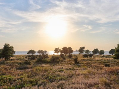 Apartment One bedroom apartment with balcony and sea view Rogoznica A-4162-d - Outdoor photo 32