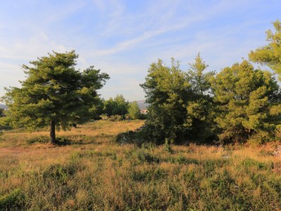 Apartment Two bedroom apartment with terrace and sea view Rogoznica A-4162-f - Outdoor photo 31