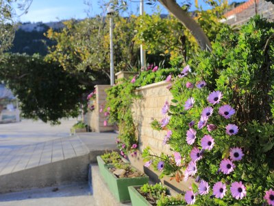 Apartment Two bedroom apartment near beach Duće, Omiš A-4795-d - Outdoor photo 9