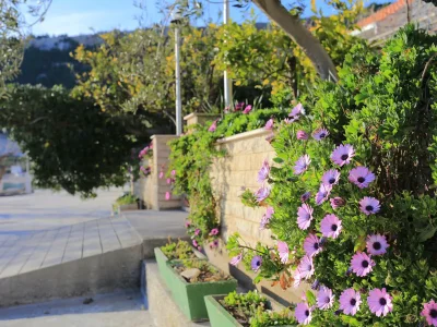 Apartment Studio flat near beach Duće, Omiš AS-4795-a - Outdoor photo 9