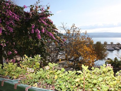 Apartment Studio flat near beach Duće, Omiš AS-4795-a - Outdoor photo 18