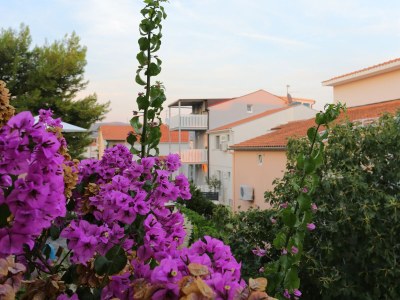 Apartment Two bedroom apartment with terrace Rogoznica A-4162-l - Outdoor photo 33