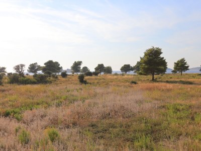 Apartment Two bedroom apartment with terrace and sea view Rogoznica A-4162-m - Outdoor photo 34