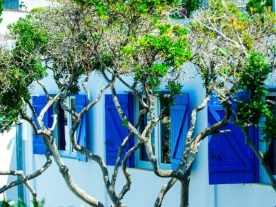 Holiday room near beach Drašnice, Makarska S-3329-n - Outdoor photo 25