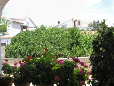 Apartment One bedroom apartment with terrace Jezera, Murter A-5120-g - Outdoor photo 23