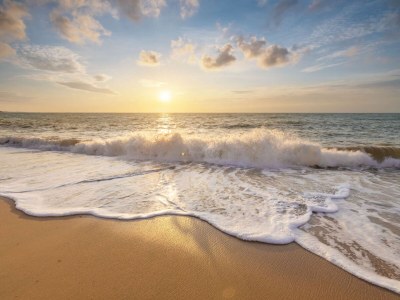 Holiday apartment Beach Apartment 14 - Environment photo 23