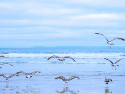 Holiday apartment Beach Apartment 14 - Environment photo 27