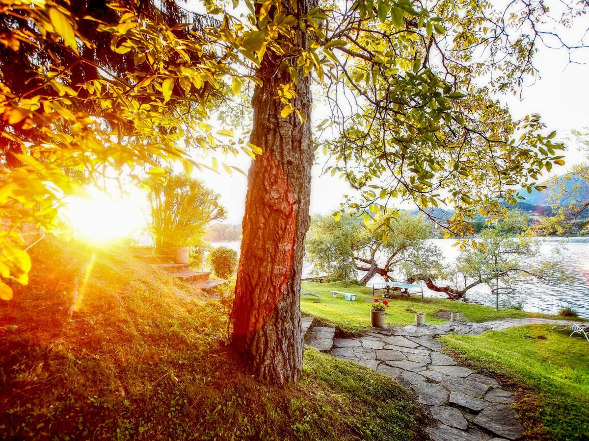 Holiday house Seehaus B | Waldstrand Berger - Outdoor photo 5