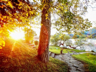 Holiday house Seehaus C | Waldstrand Berger - Environment photo 16